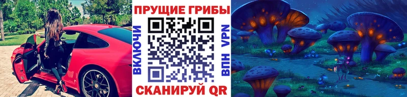 кракен ONION  Ершов  Галлюциногенные грибы мухоморы 